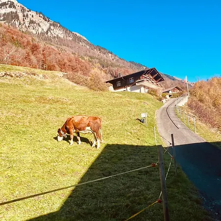 דירה & Mountain Retreat - Brienz & Interlaken