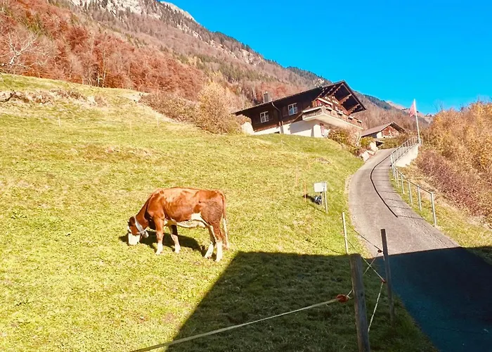 Apartment & Mountain Retreat - Brienz & Interlaken